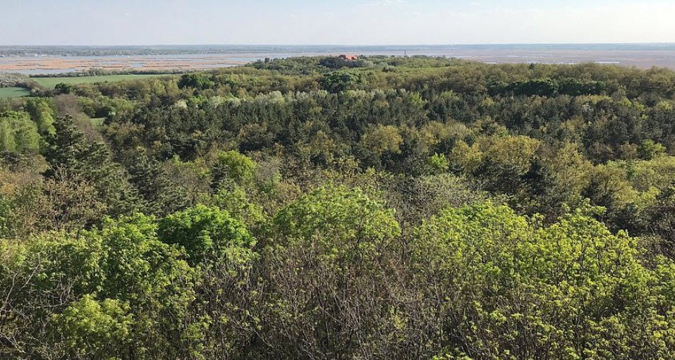 Pákozdi Pagony Vadaspark és Arborétum, Hungary